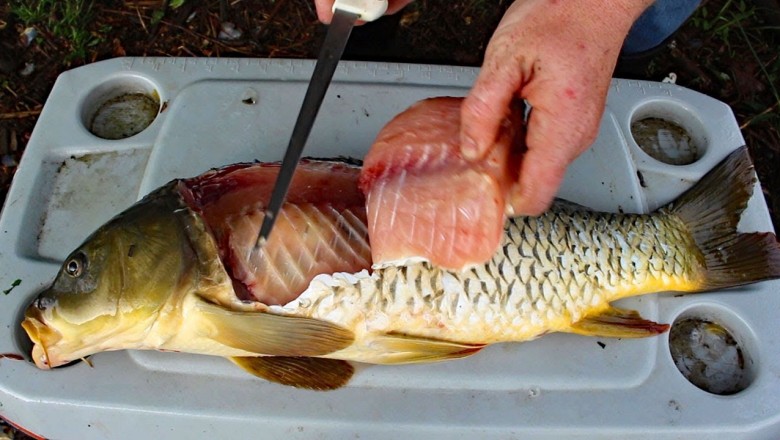 Catch and Cook Carp, How to cook Carp - Carp Fishing